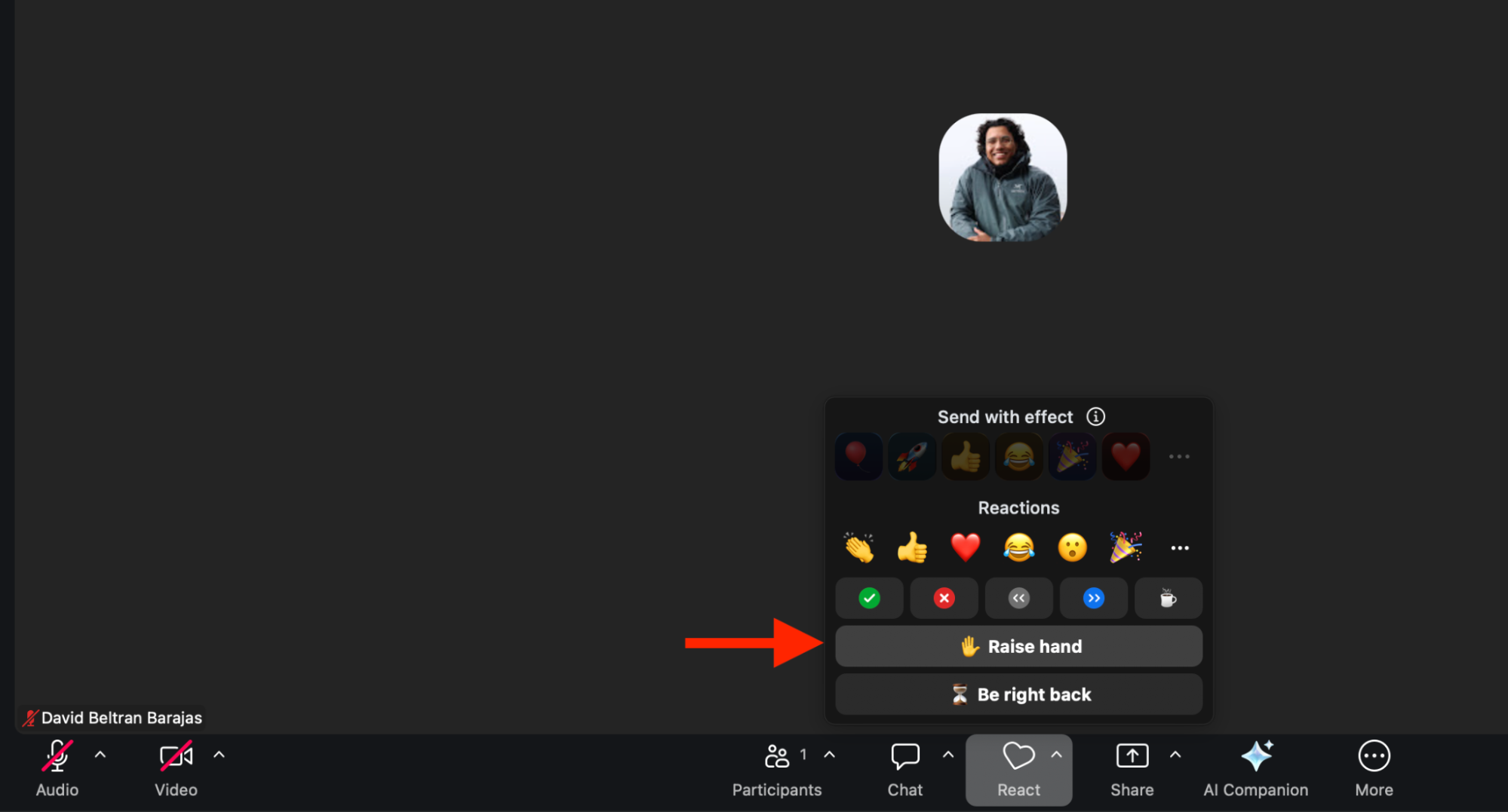 Virtual Public Hearing