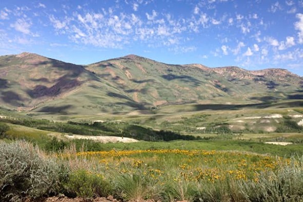 Foothills in Eastern Oregon with a blue sky, green grass in the foreground