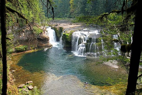 Lower falls on the Lewis River in SW Washington