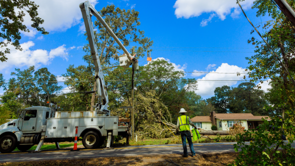 Utility workers trimming trees and repairing powerlines