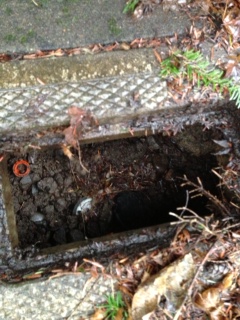 Water Meter Box Under Debris